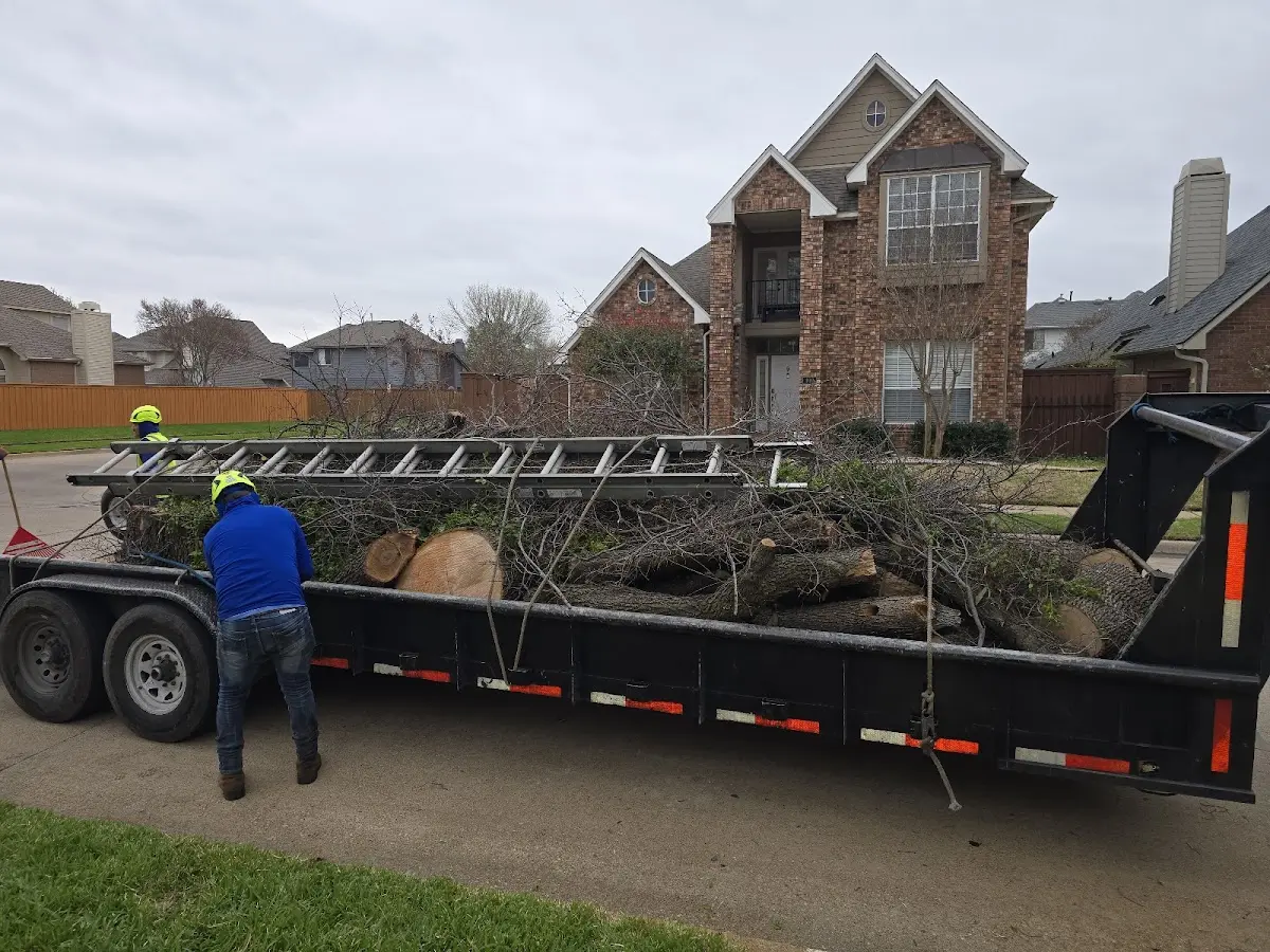 Expert Tree Removal with proper safety equipment in Kingdom City